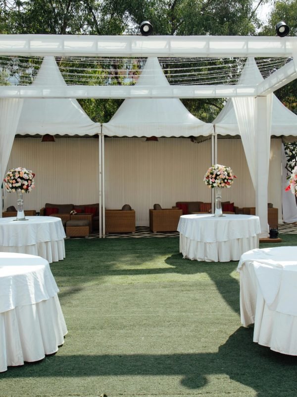 pexels-thevisionaryvows-32854442